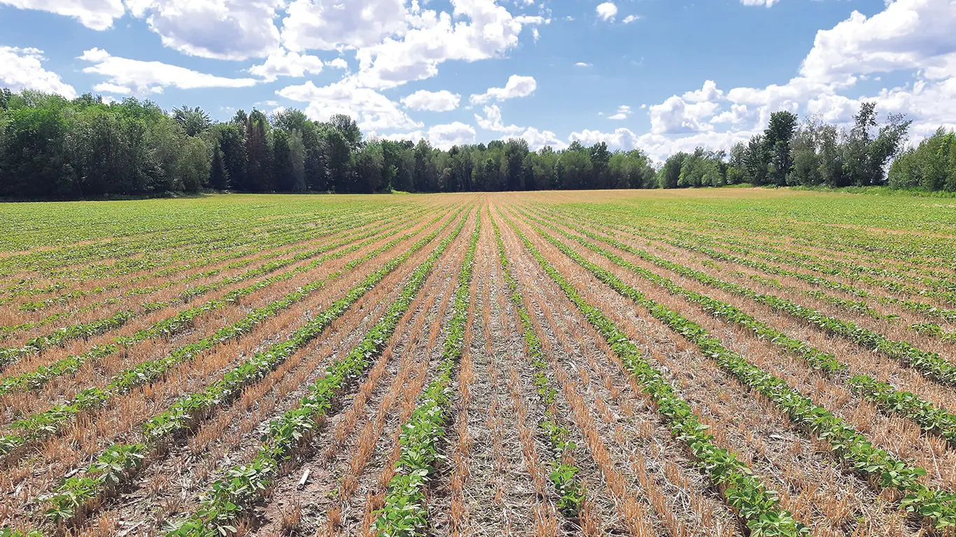 A farmer holding rich soil in their hands